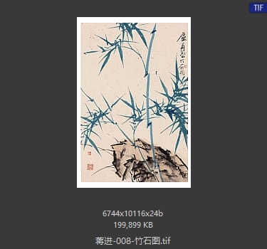 蒋进 竹石图