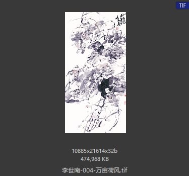 李世南 万亩荷风