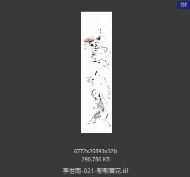 李世南 郁郁黄花