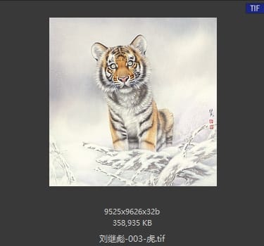 刘继彪 虎