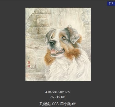 刘继彪 单小狗