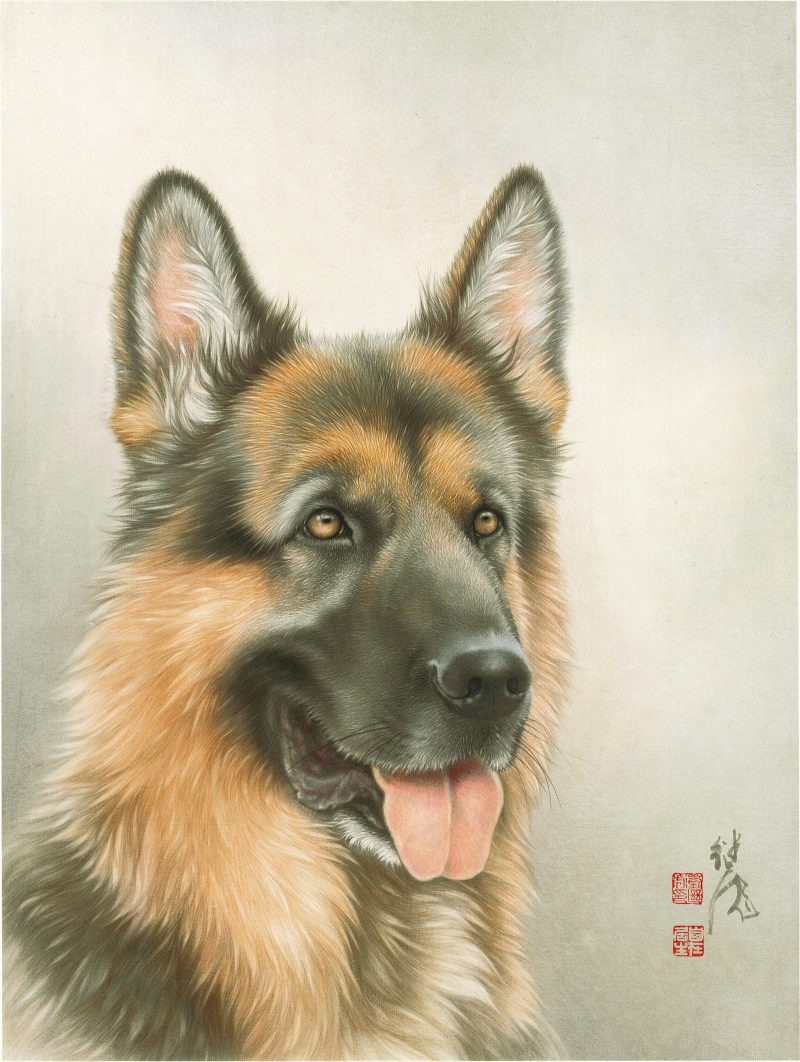 刘继彪 狼狗