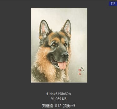 刘继彪 狼狗