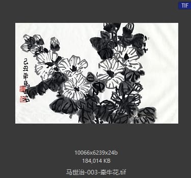 马世治 牵牛花