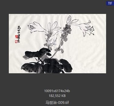 马世治 #009