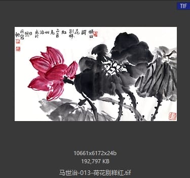 马世治 荷花别样红