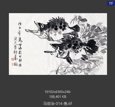 马世治 鱼