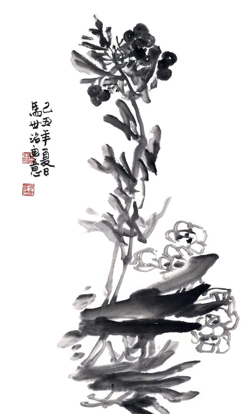 马世治 兰