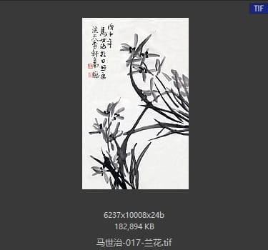 马世治 兰花