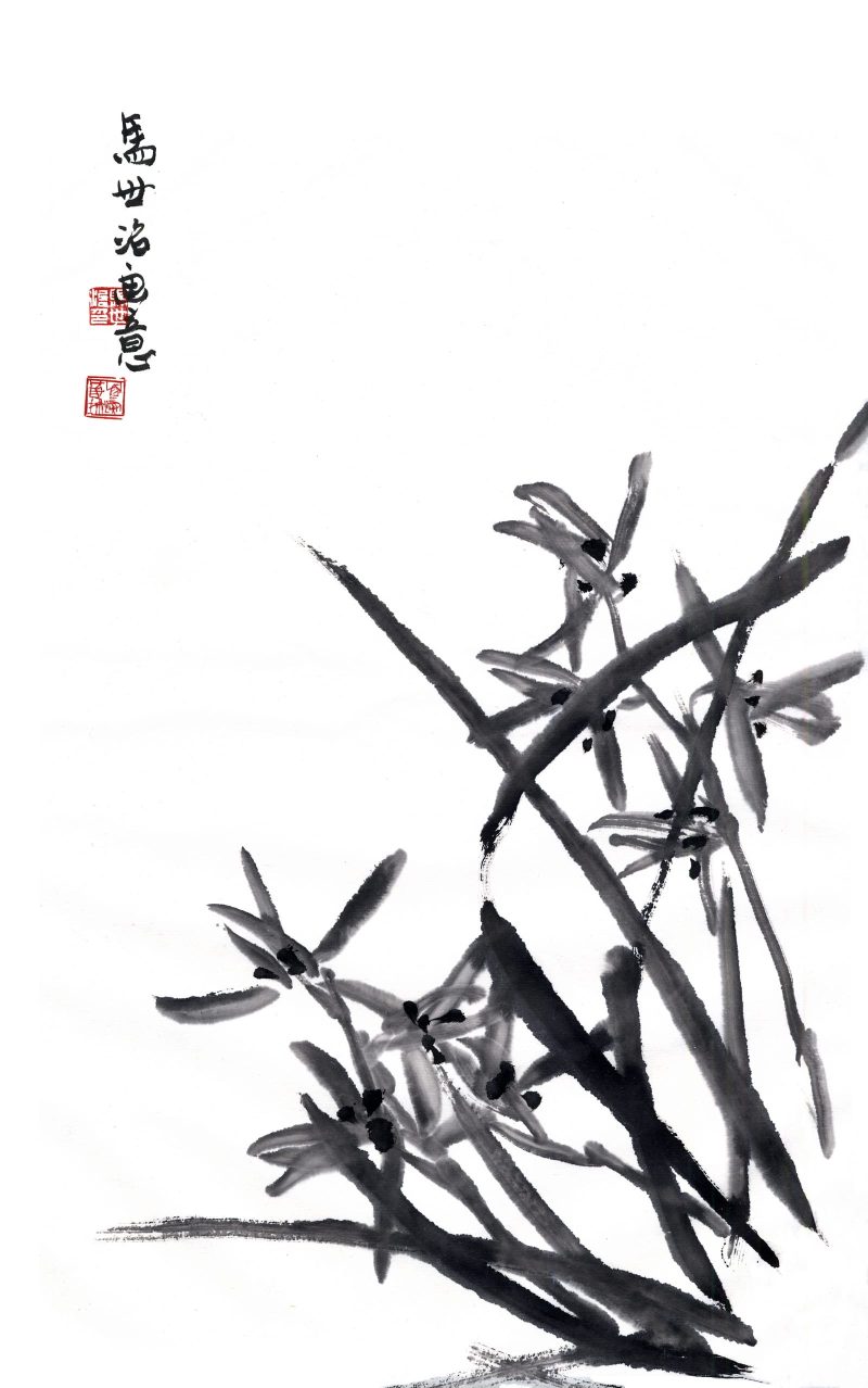马世治 兰