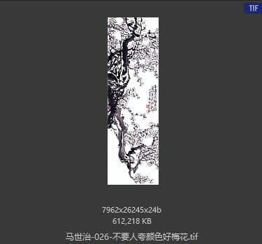 马世治 不要人夸颜色好梅花