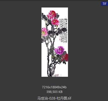 马世治 牡丹图