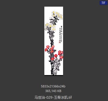 马世治 玉骨冰肌