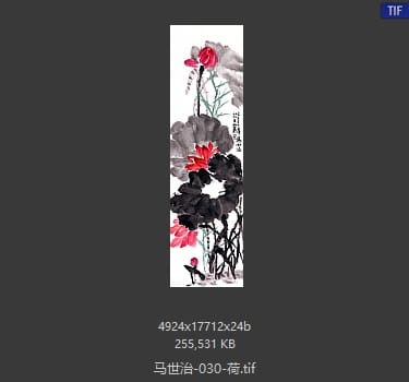 马世治 荷