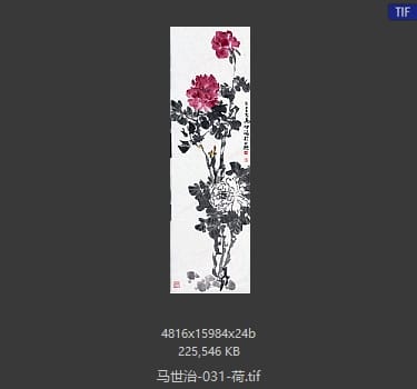 马世治 荷