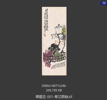 谭建丞 菊花图