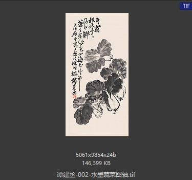 谭建丞 水墨蔬菜图
