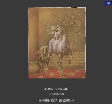 田书翰 霹雳骧