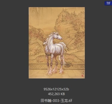 田书翰 玉龙