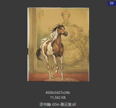 田书翰 聂云驶