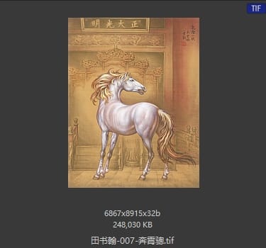 田书翰 奔霄骢