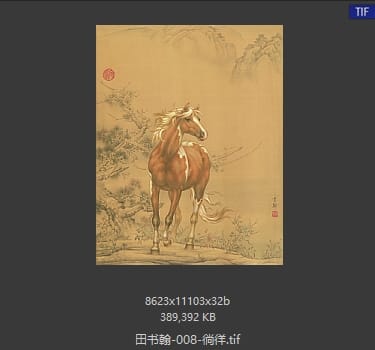 田书翰 徜徉