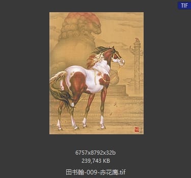 田书翰 赤花鹰
