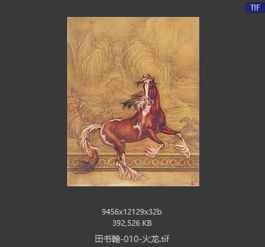 田书翰 火龙