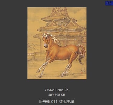 田书翰 红玉座