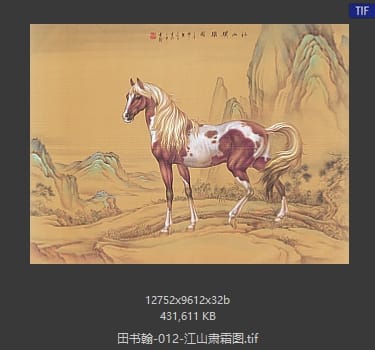 田书翰 江山肃霜图