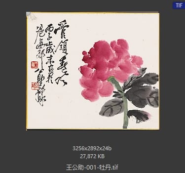 王公助 牡丹