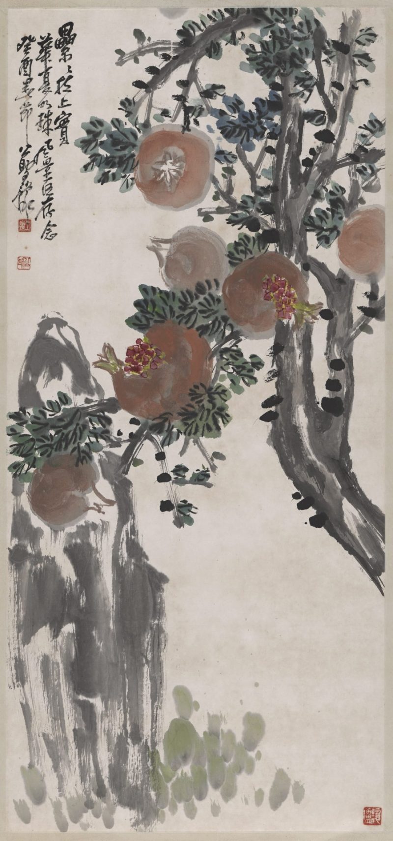 王公助 石榴