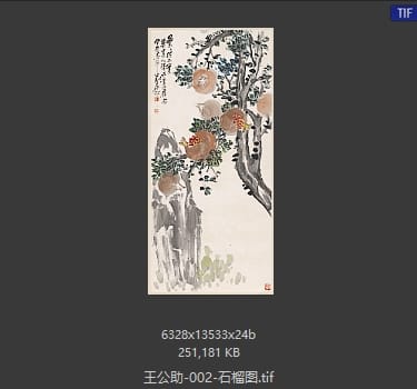 王公助 石榴