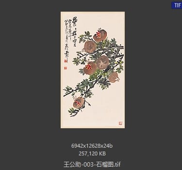 王公助 石榴