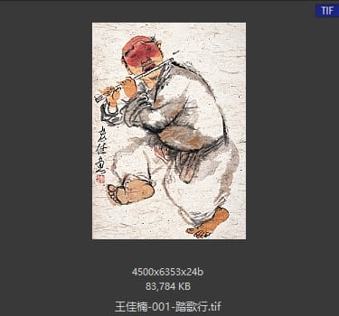 王佳楠 踏歌行