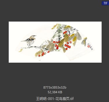 王明明 花鸟扇页