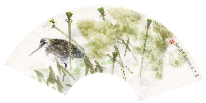 王明明 花鸟扇页