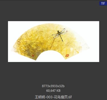 王明明 花鸟扇页
