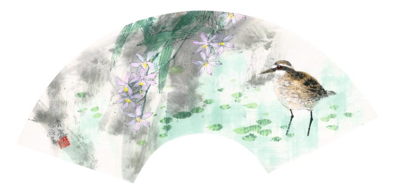 王明明 花鸟扇页