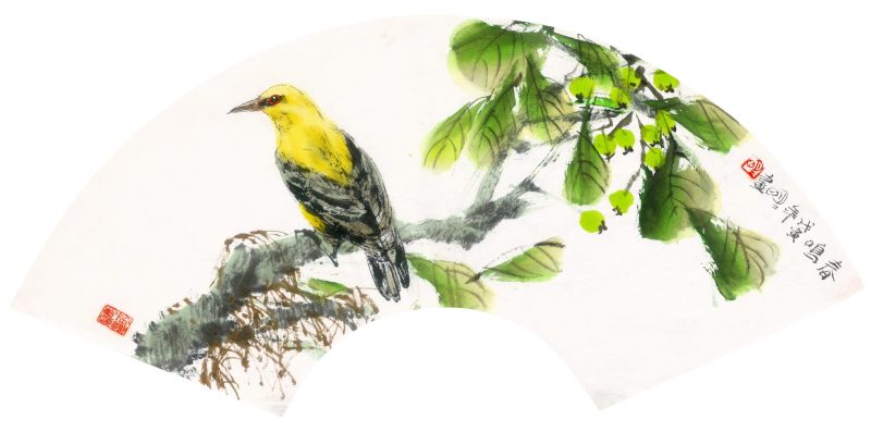王明明 花鸟扇页
