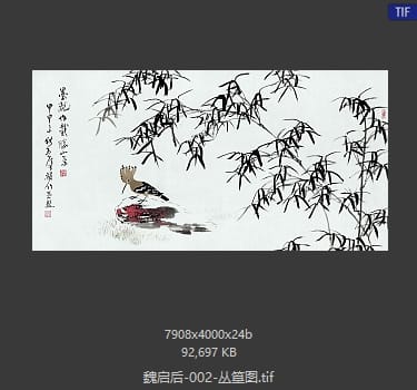 魏启后 丛篁图