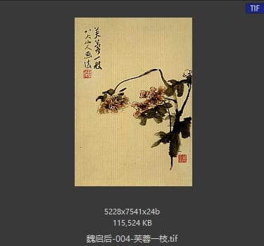 魏启后 芙蓉一枝