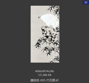 魏启后 竹石图