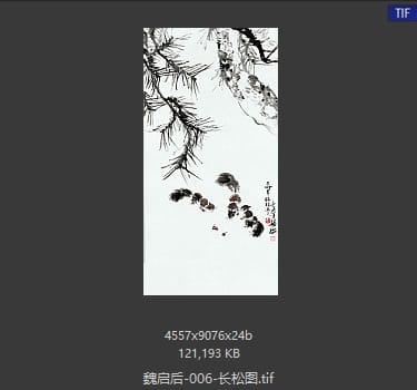 魏启后 长松图
