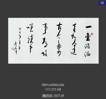 魏启后 #007