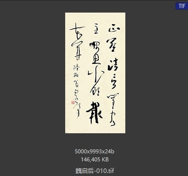 魏启后 #010