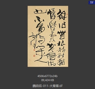 魏启后 大章草