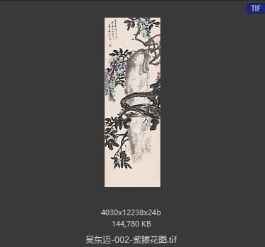 吴东迈 紫滕花