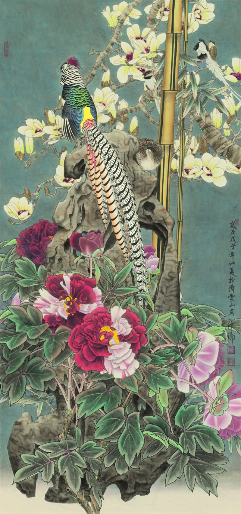 窦申情 #008