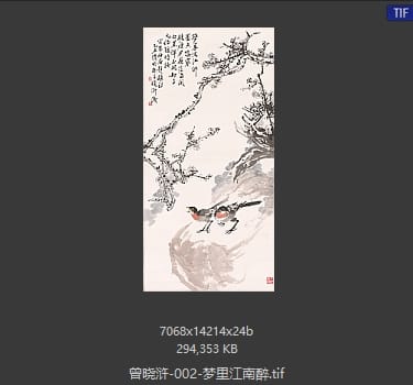 曾晓浒 梦里江南醉